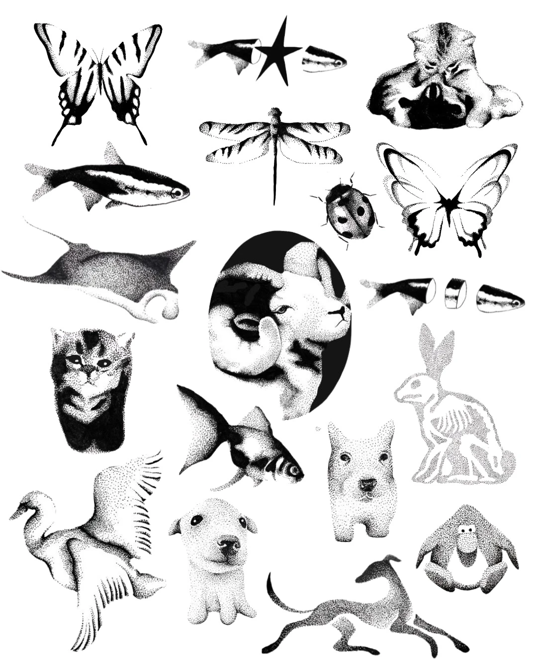 Planilla de animales e insectos