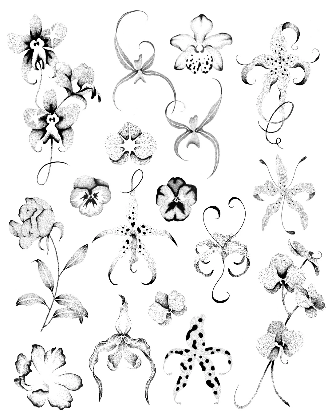 Planilla de orquídeas y flores