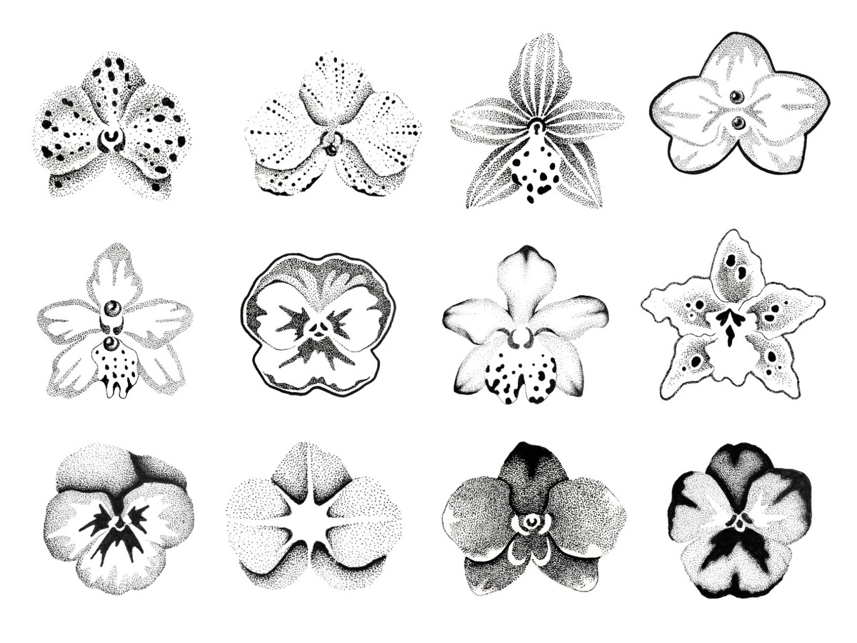 Planilla de flores y orquídeas individuales
