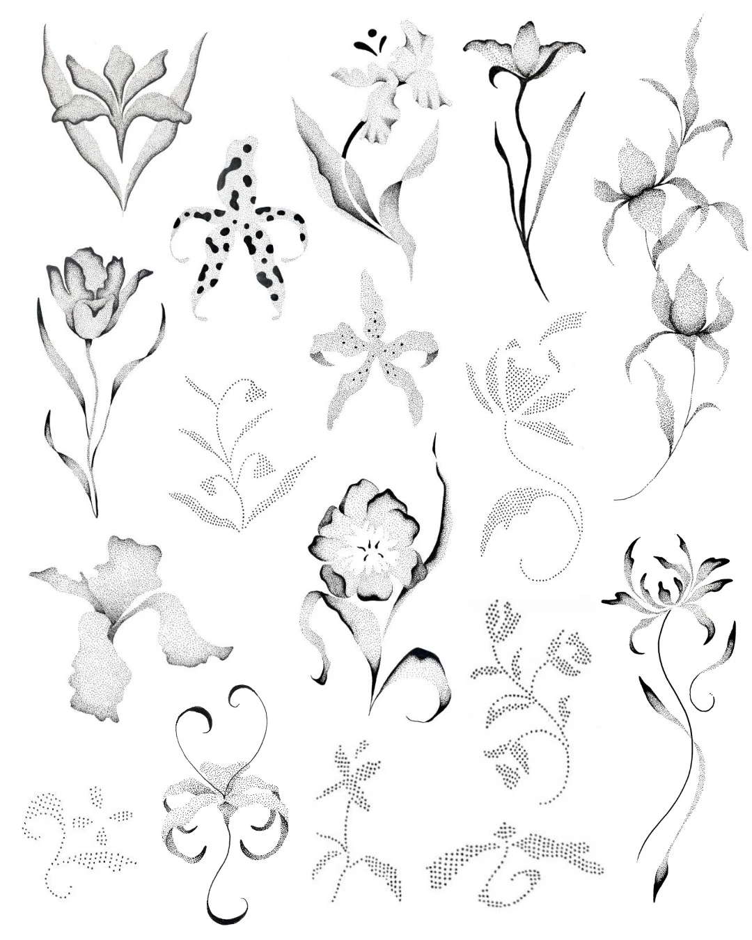 Planilla de flores y tallos botánicos